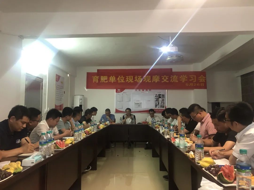 熟妇丰满多毛的大隂户