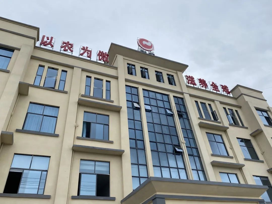 熟妇丰满多毛的大隂户