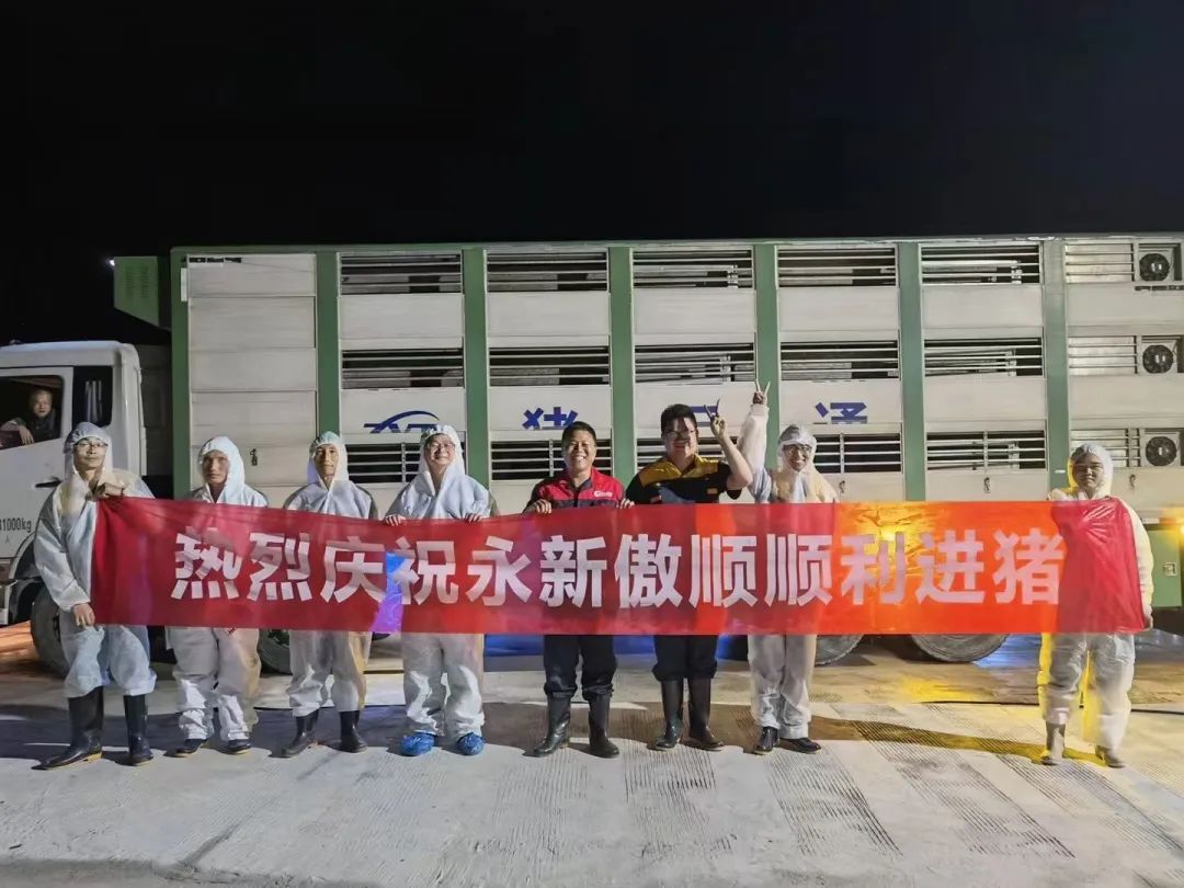 熟妇丰满多毛的大隂户