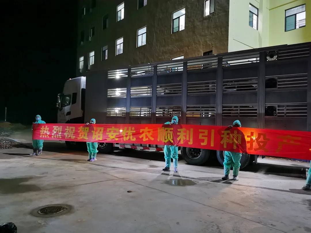 熟妇丰满多毛的大隂户