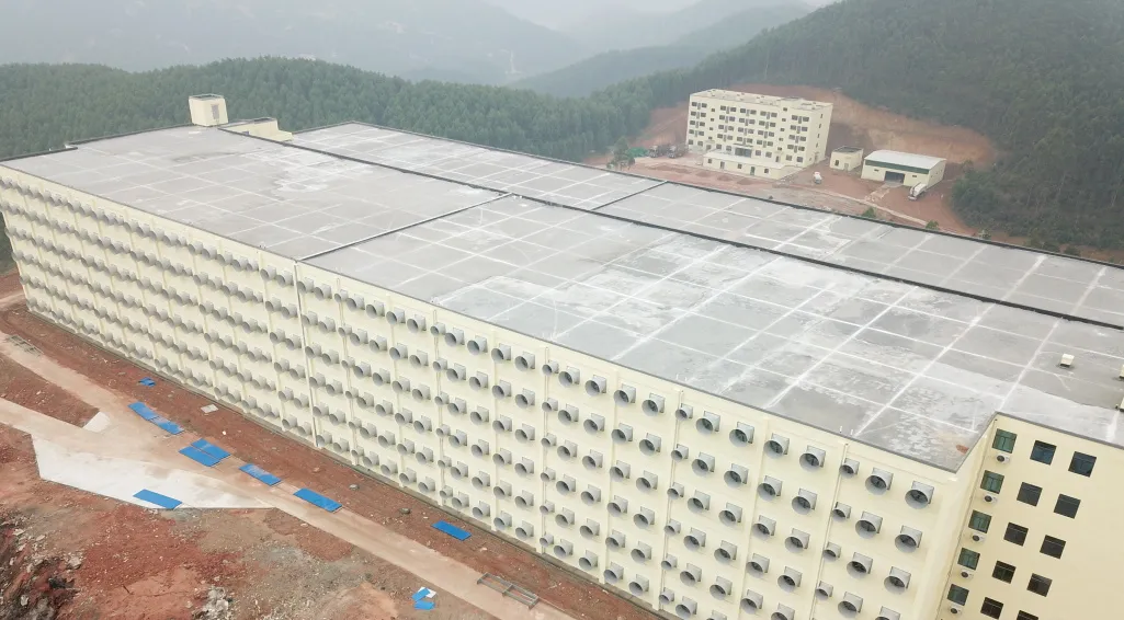 熟妇丰满多毛的大隂户