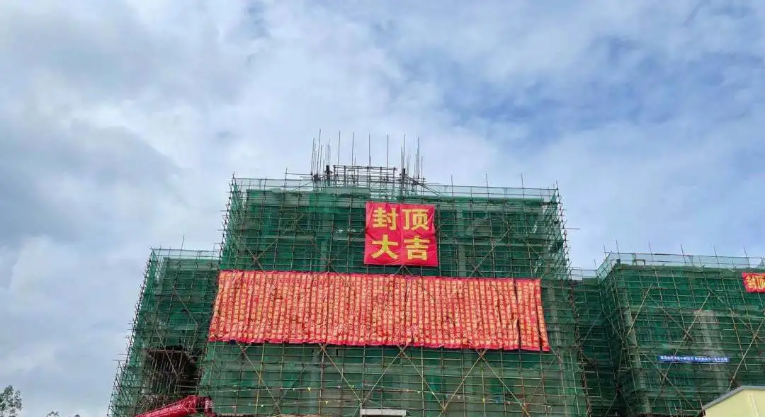 熟妇丰满多毛的大隂户