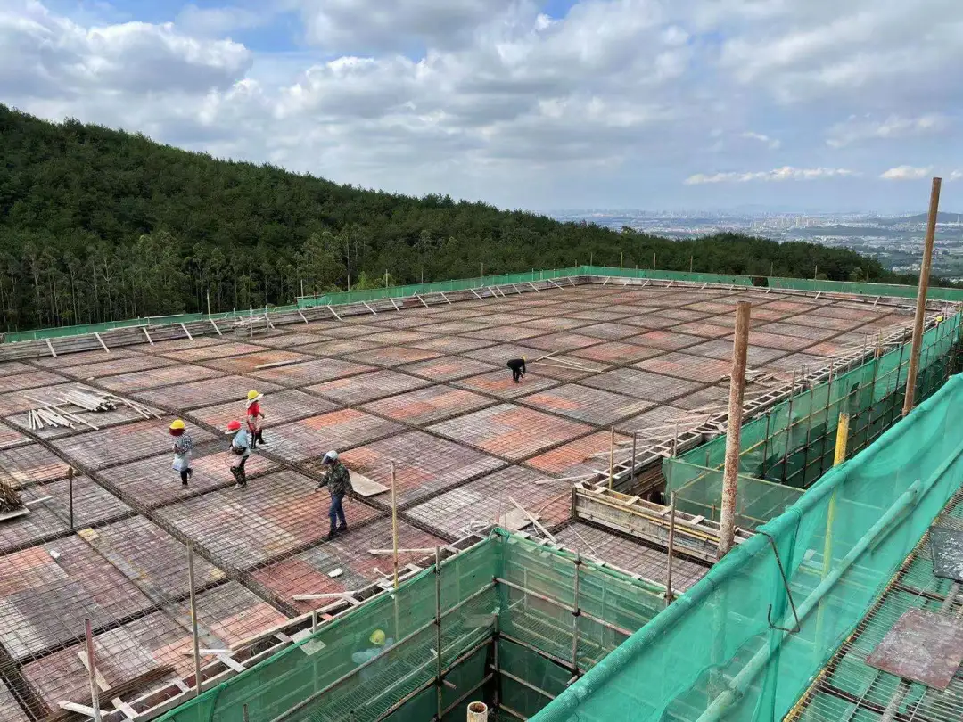 熟妇丰满多毛的大隂户