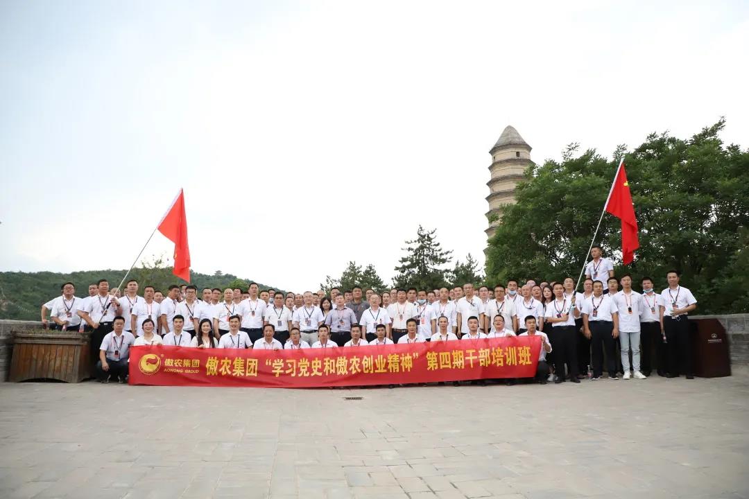 熟妇丰满多毛的大隂户