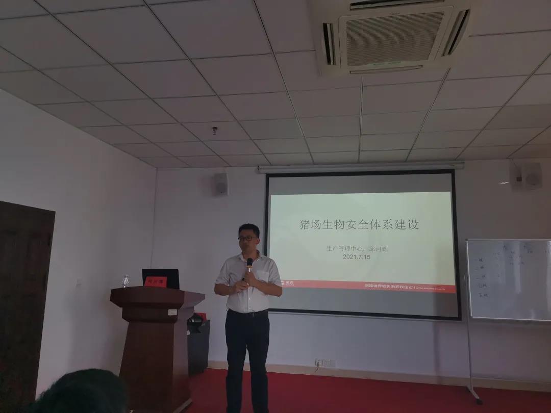 熟妇丰满多毛的大隂户