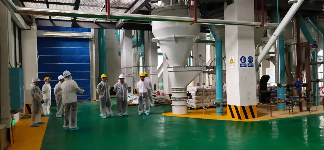 熟妇丰满多毛的大隂户