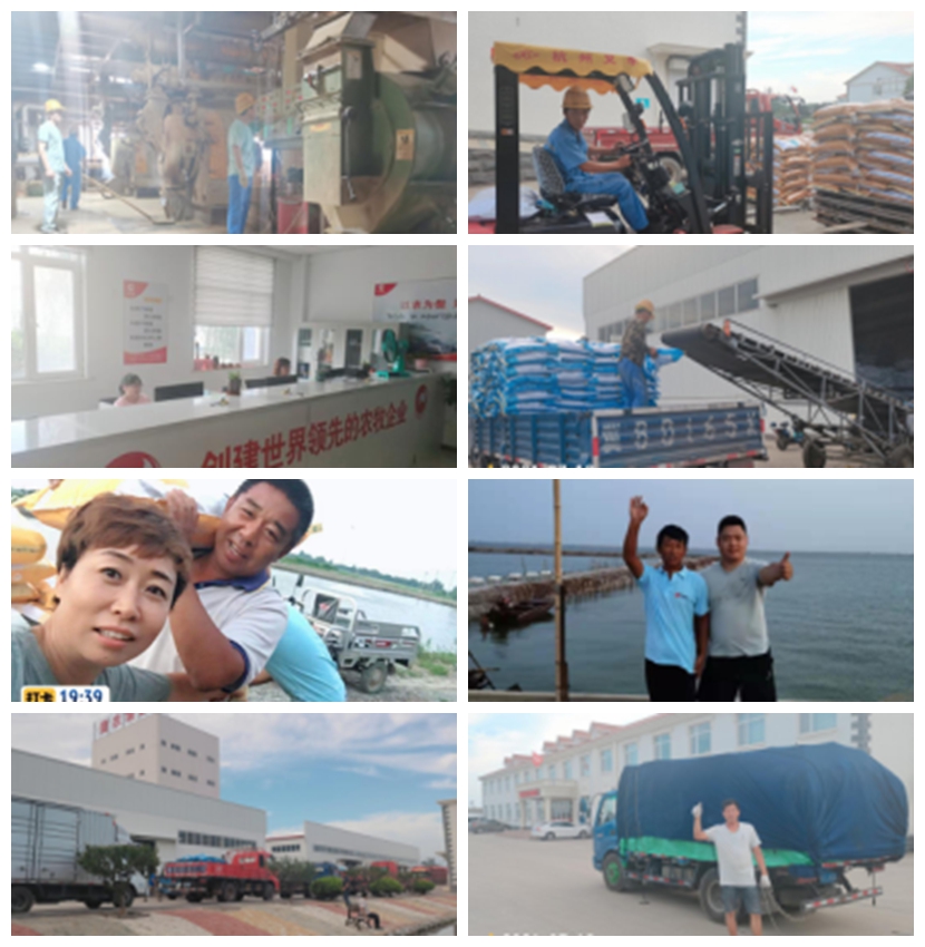 熟妇丰满多毛的大隂户