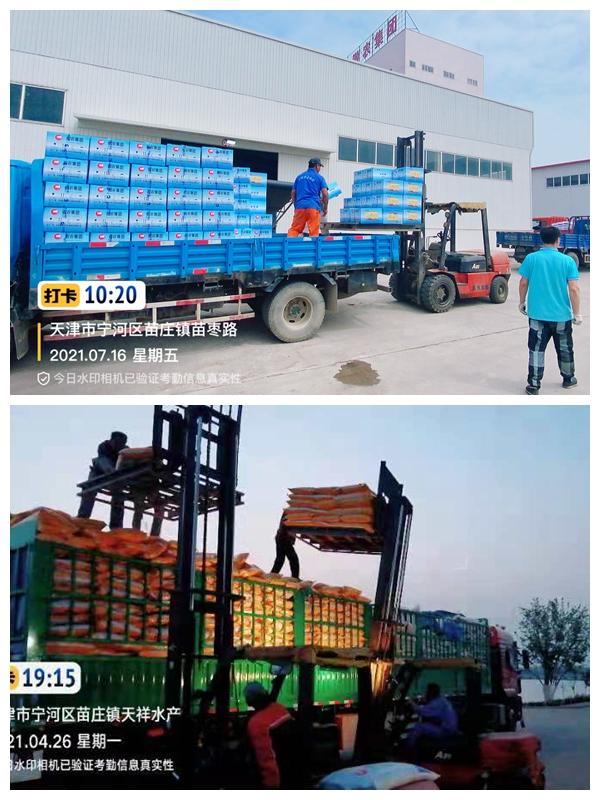 熟妇丰满多毛的大隂户