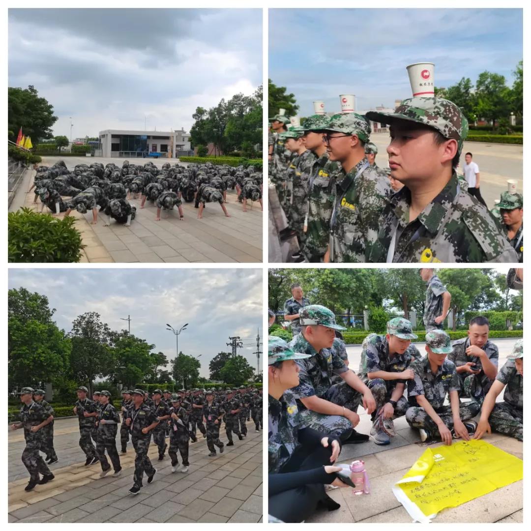 熟妇丰满多毛的大隂户