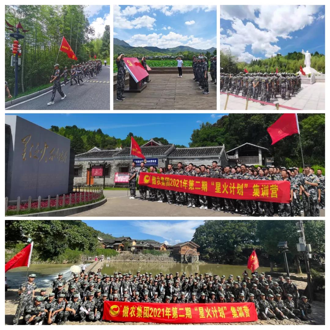 熟妇丰满多毛的大隂户