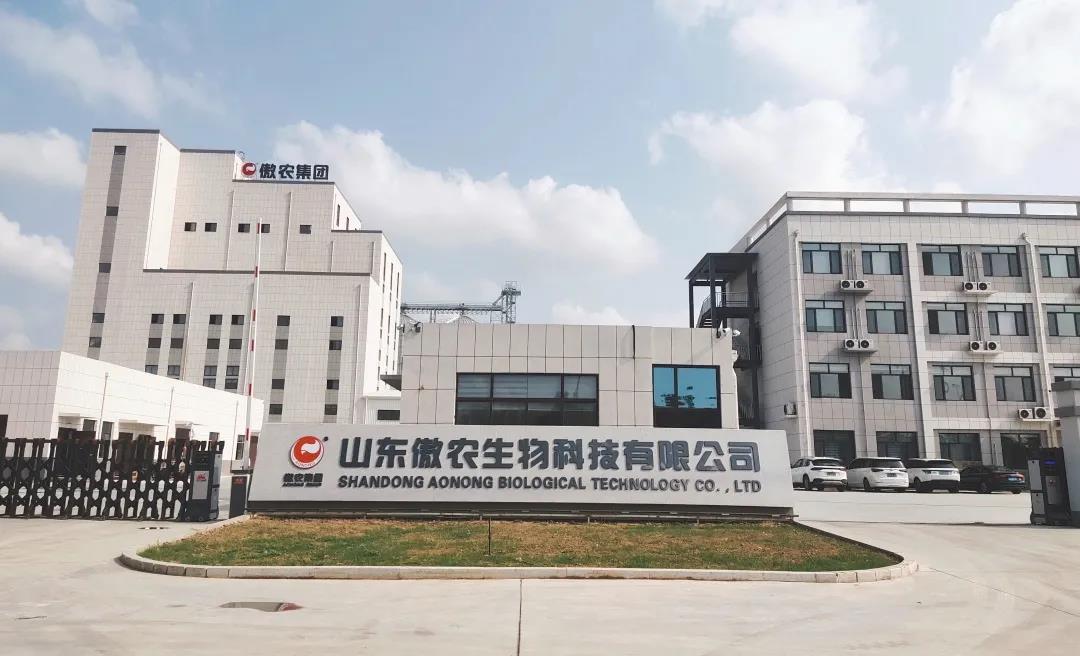 熟妇丰满多毛的大隂户