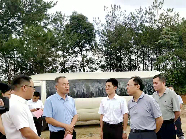 熟妇丰满多毛的大隂户