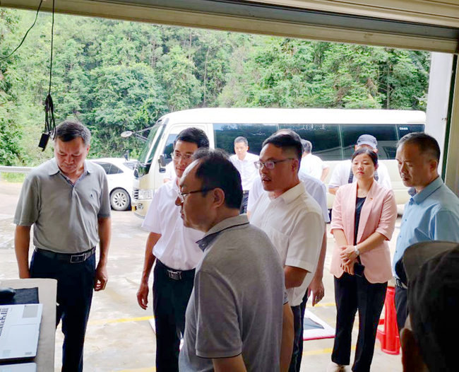 熟妇丰满多毛的大隂户