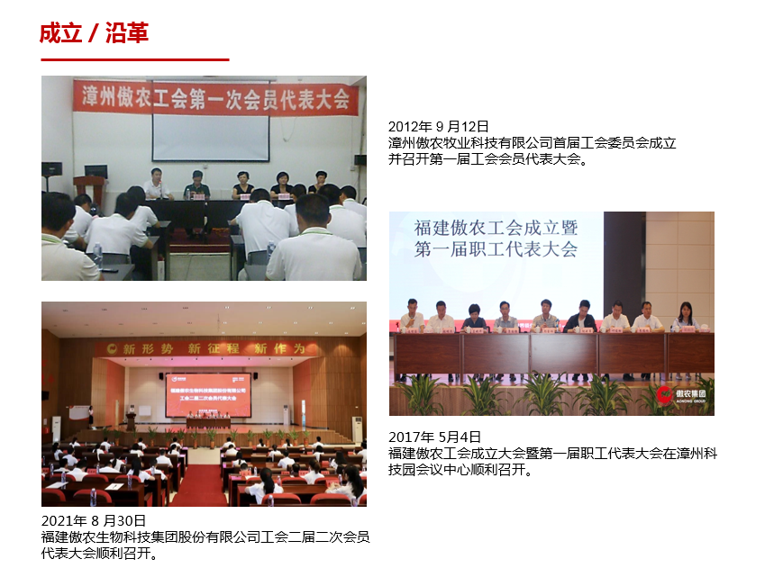 熟妇丰满多毛的大隂户