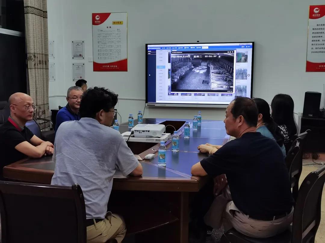 熟妇丰满多毛的大隂户