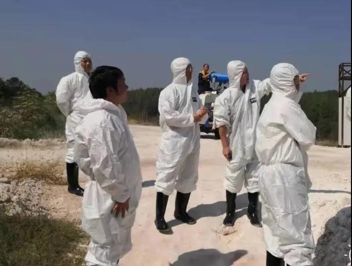 熟妇丰满多毛的大隂户