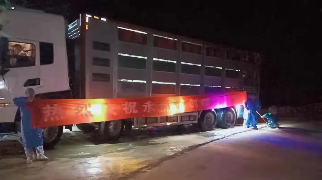 熟妇丰满多毛的大隂户