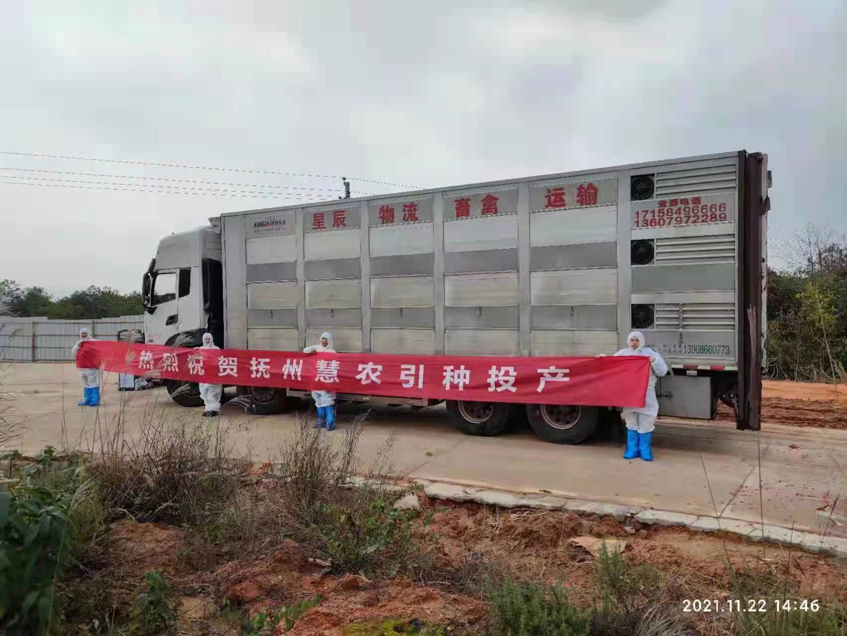 熟妇丰满多毛的大隂户