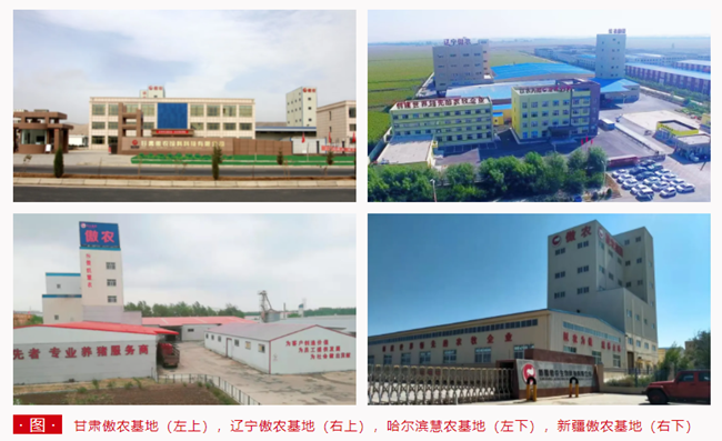 熟妇丰满多毛的大隂户