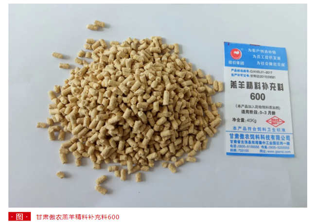 熟妇丰满多毛的大隂户