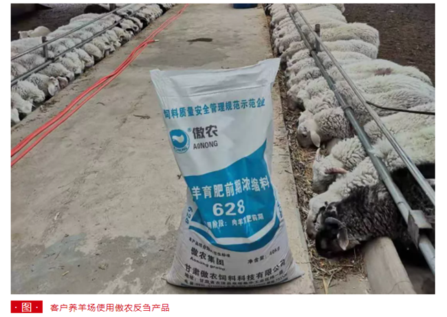 熟妇丰满多毛的大隂户