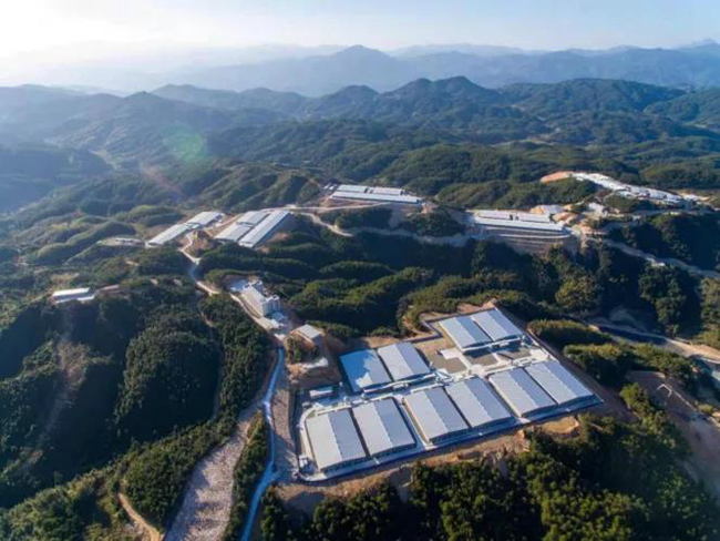 熟妇丰满多毛的大隂户