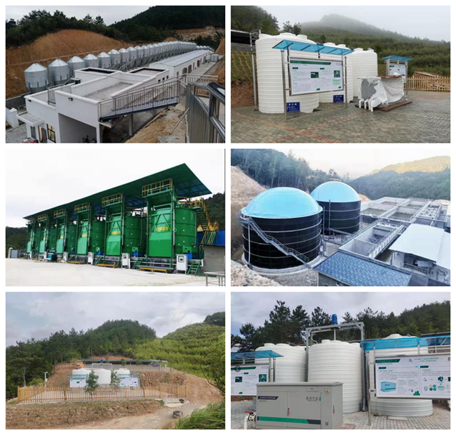 熟妇丰满多毛的大隂户