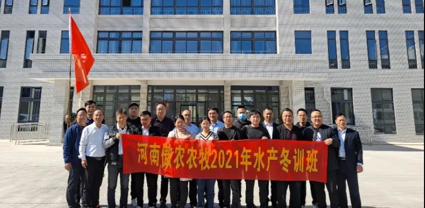 熟妇丰满多毛的大隂户