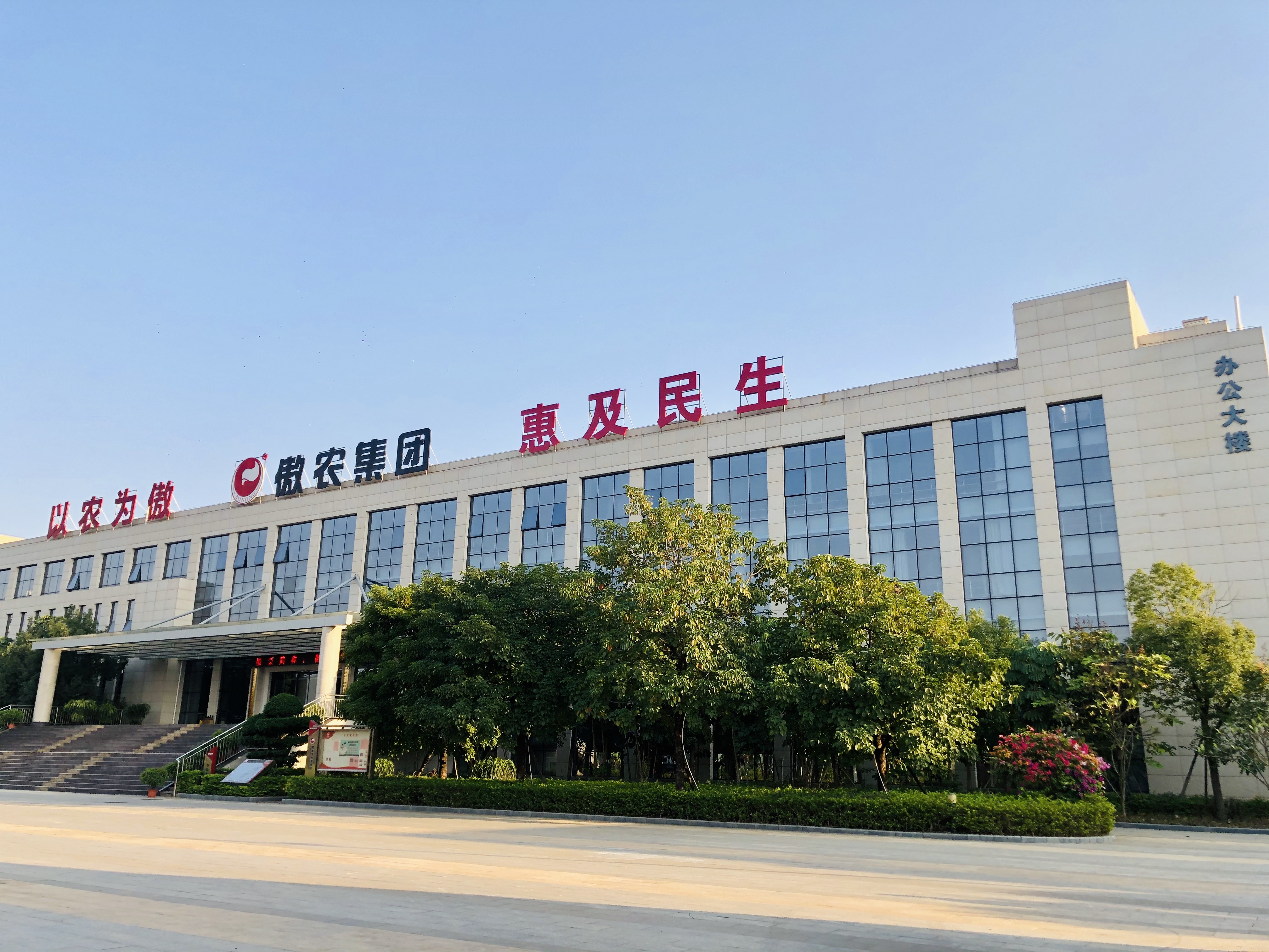 熟妇丰满多毛的大隂户