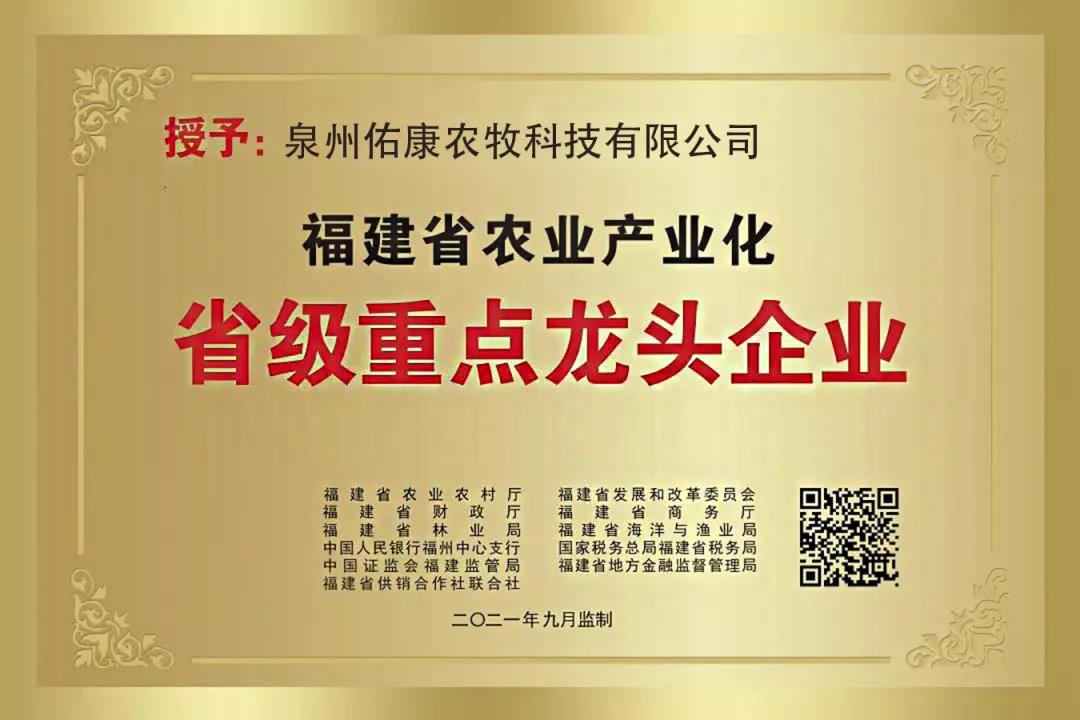 熟妇丰满多毛的大隂户