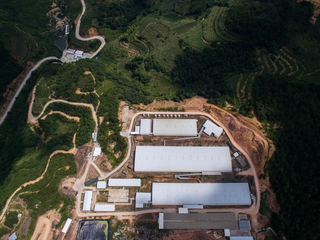 熟妇丰满多毛的大隂户