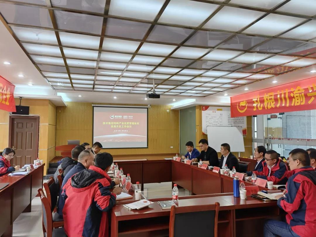 熟妇丰满多毛的大隂户