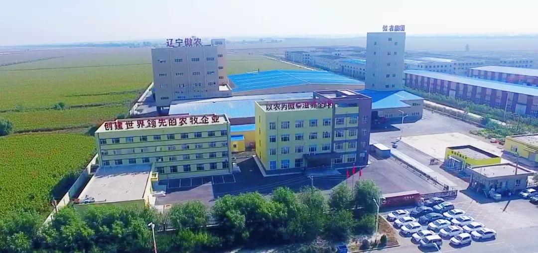 熟妇丰满多毛的大隂户