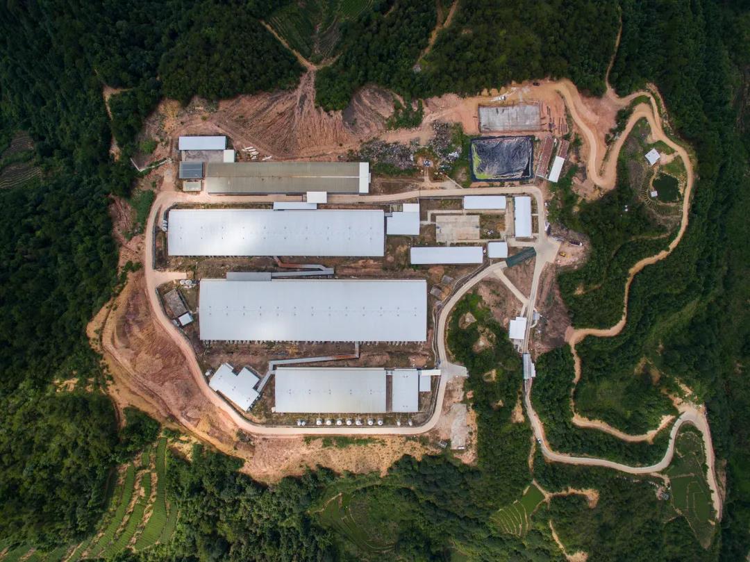 熟妇丰满多毛的大隂户