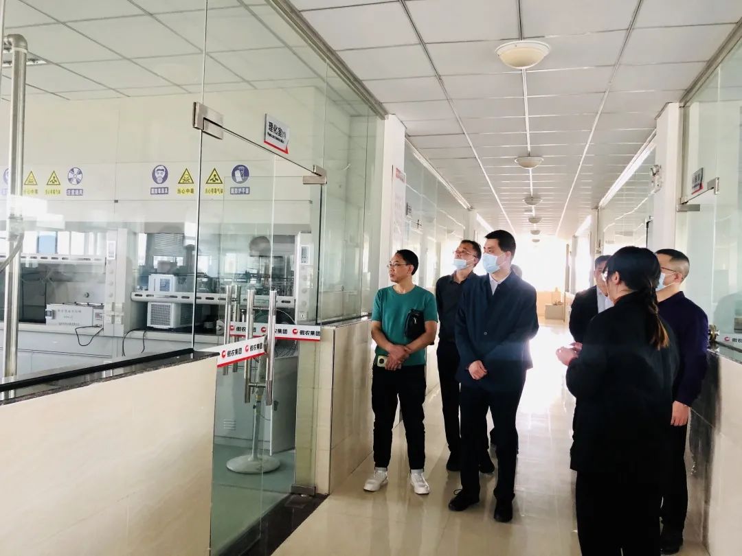 熟妇丰满多毛的大隂户