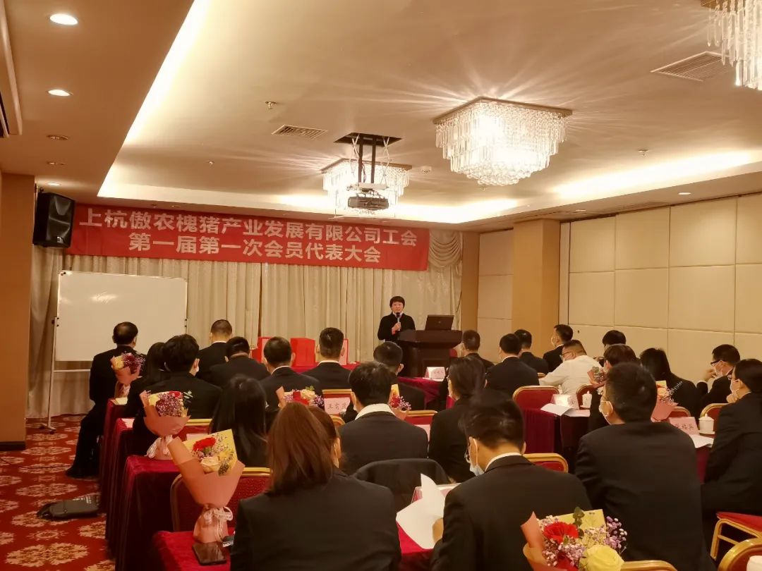 熟妇丰满多毛的大隂户