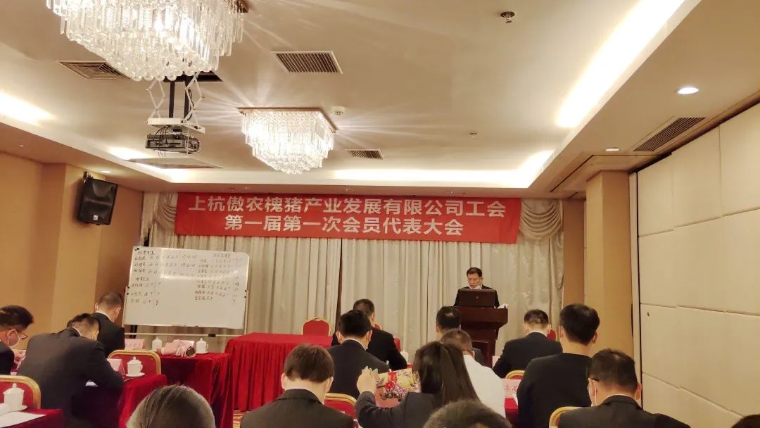 熟妇丰满多毛的大隂户