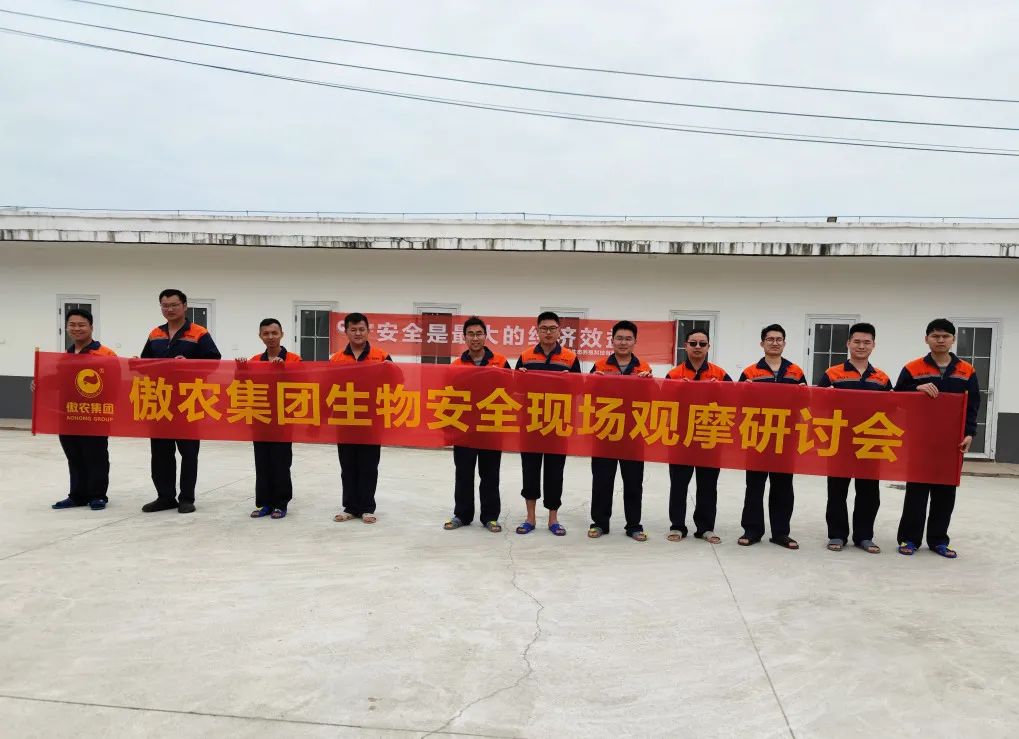 熟妇丰满多毛的大隂户