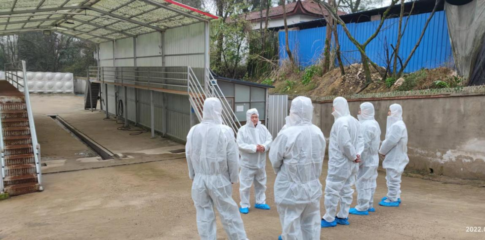 熟妇丰满多毛的大隂户