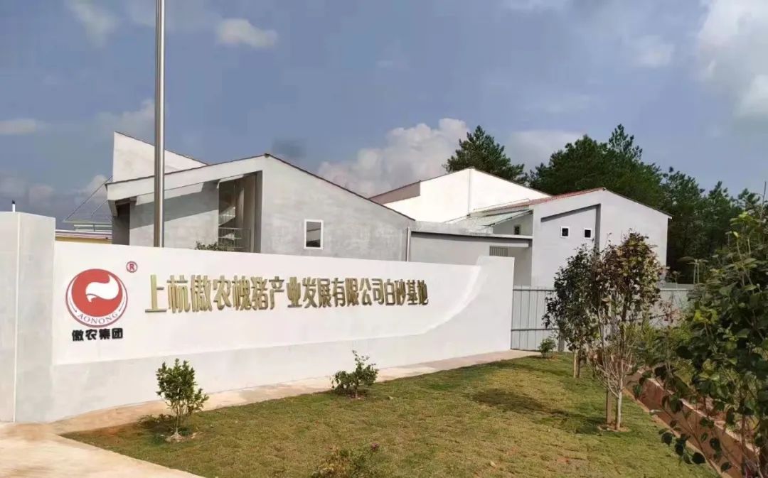 熟妇丰满多毛的大隂户