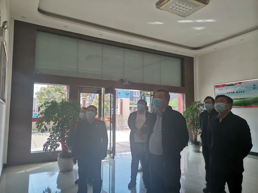 熟妇丰满多毛的大隂户