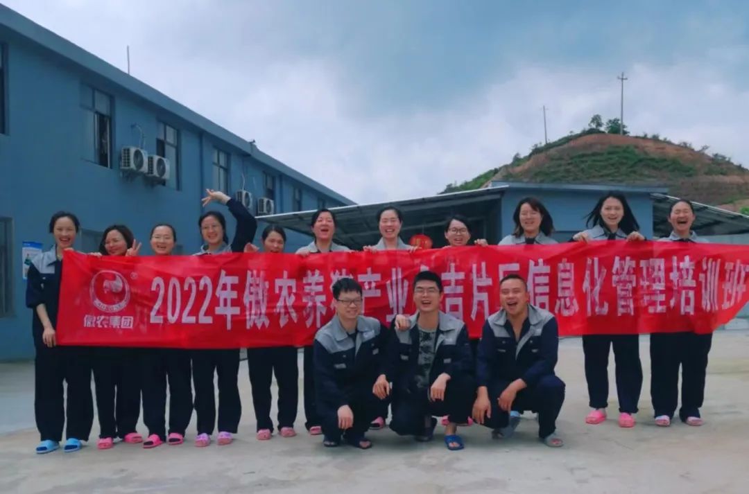 熟妇丰满多毛的大隂户