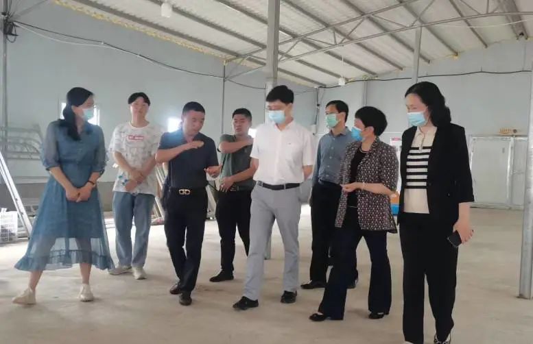 熟妇丰满多毛的大隂户