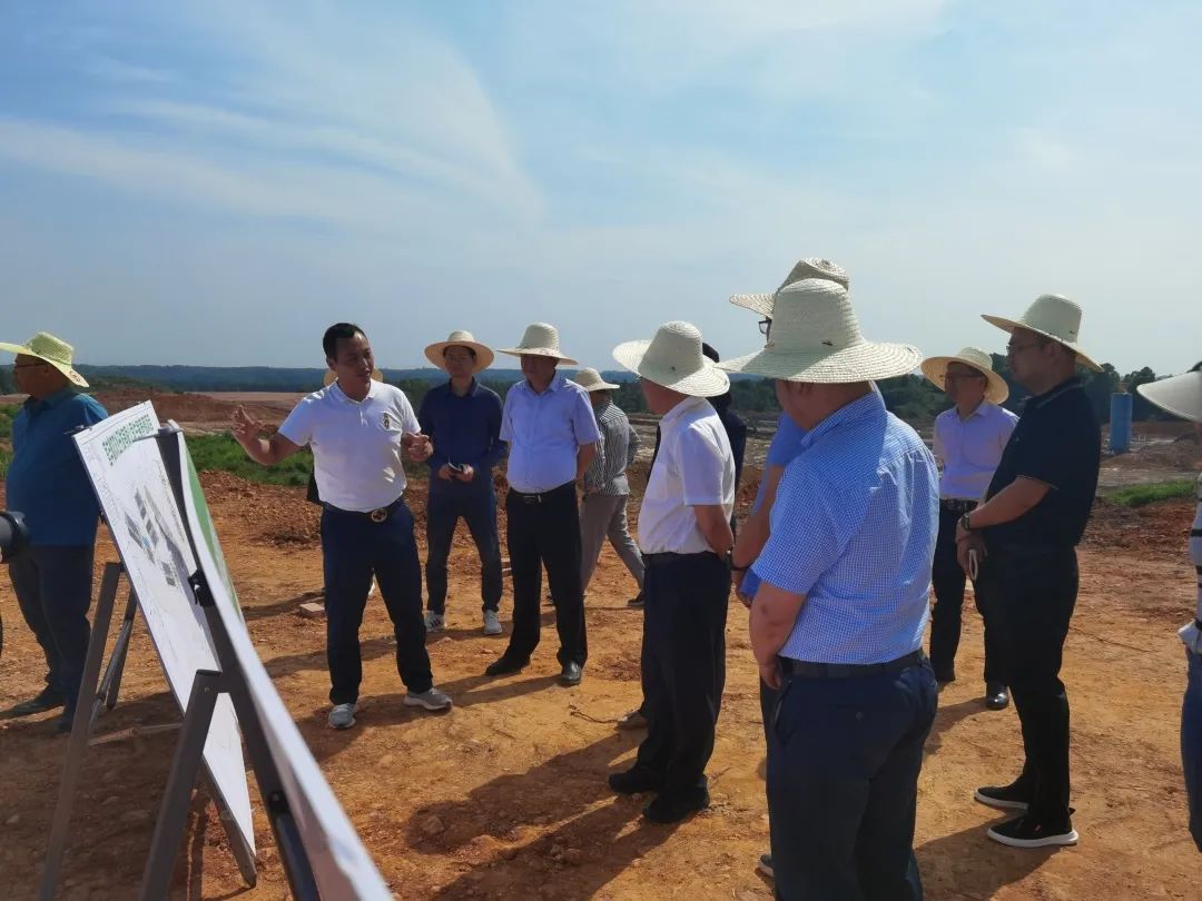 熟妇丰满多毛的大隂户