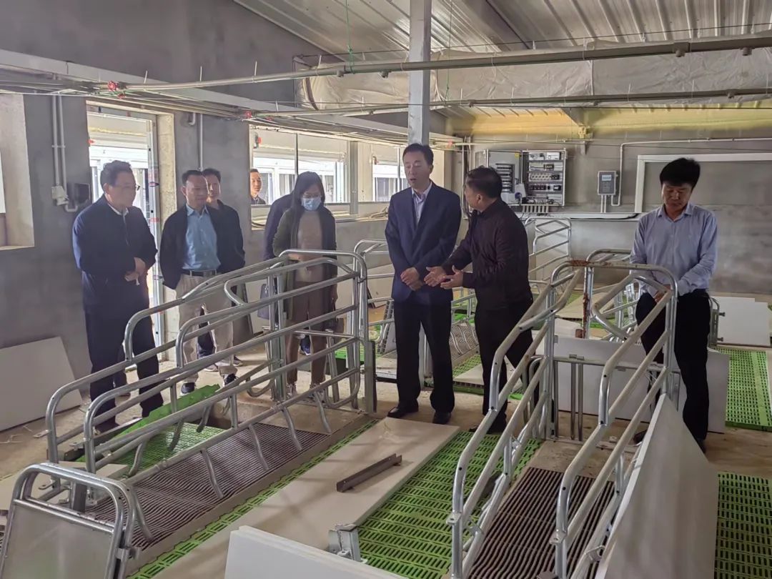 熟妇丰满多毛的大隂户