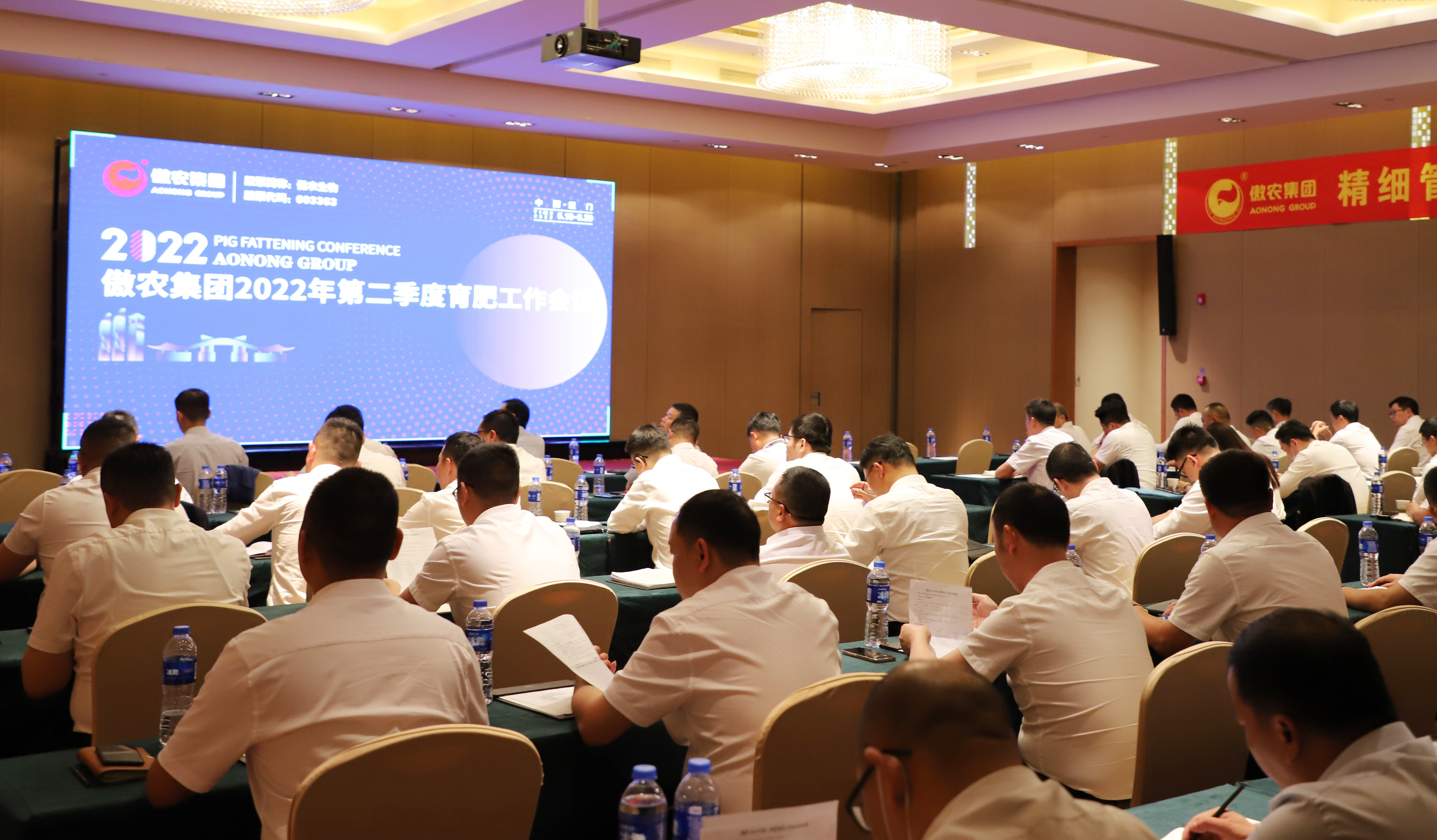 熟妇丰满多毛的大隂户