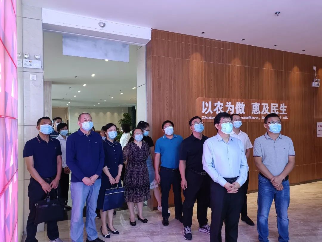 熟妇丰满多毛的大隂户