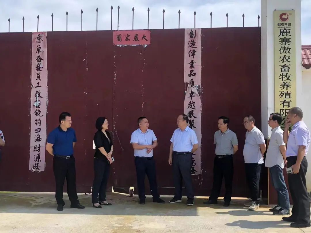 熟妇丰满多毛的大隂户