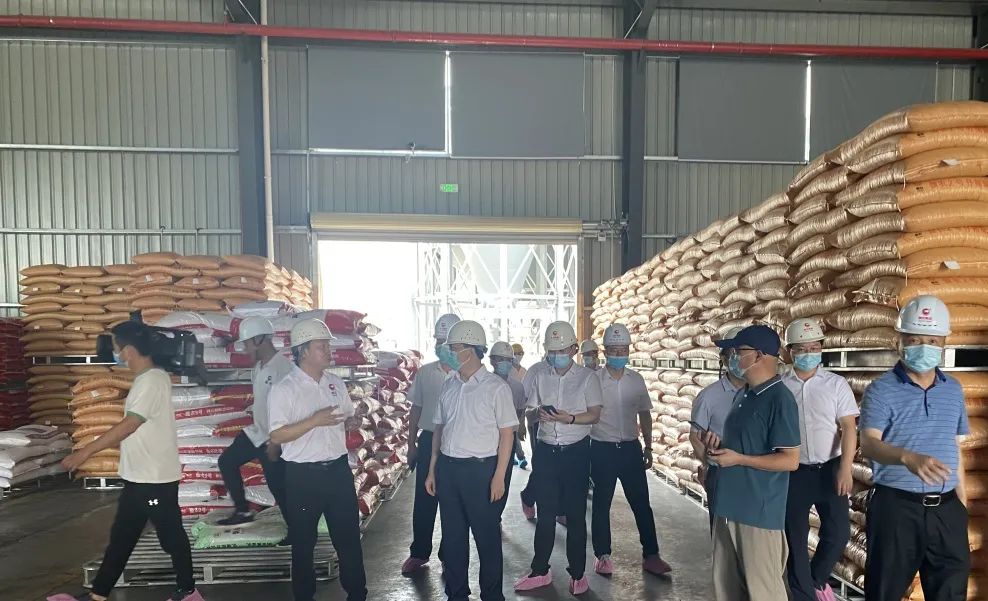 熟妇丰满多毛的大隂户