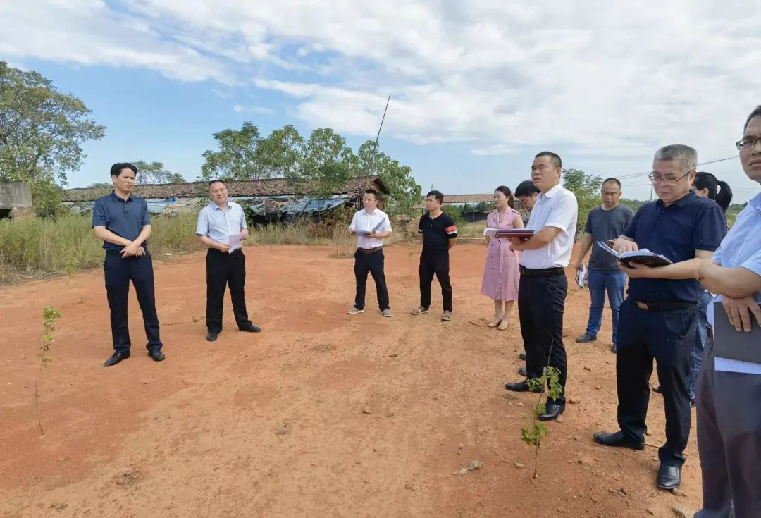 熟妇丰满多毛的大隂户